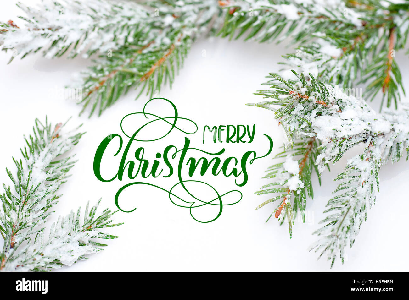 Branch of fir tree in snow with text Merry Christmas. Calligraphy ...