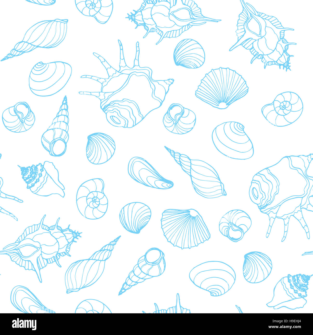Seamless sea pattern with hand drawn seashells on white background ...