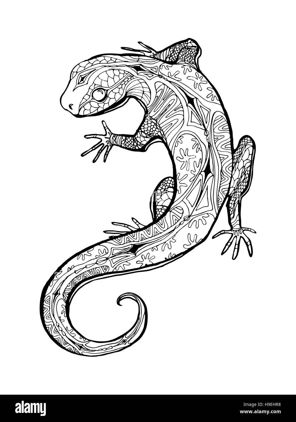 Lizard. Tropical illustration for adult coloring book. Hand drawn line art. Stock Photo