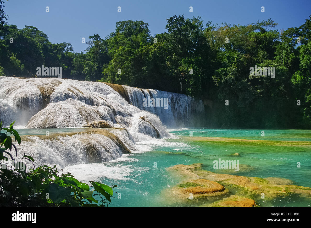 Cascadas de Agua Azul waterfalls. Agua Azul. Yucatan. Mexico Stock Photo