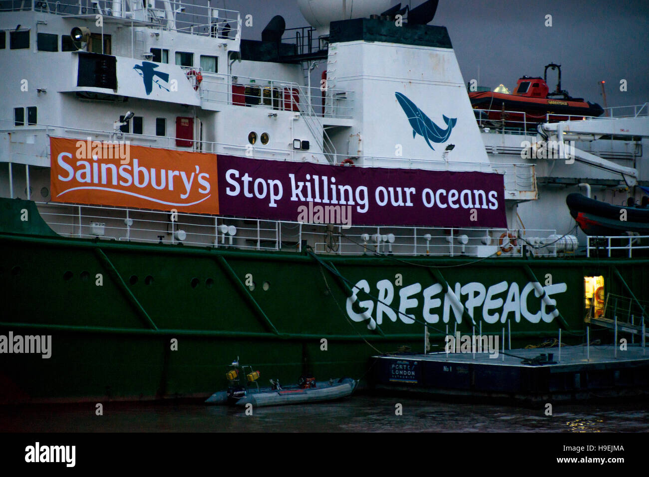 London, UK. 21st Nov, 2016. Greenpeace's largest ship, the ice class Esperanza, has arrived at Tower Bridge in central London calling on the supermarket Sainsbury's to “stop killing our oceans” and drop the unsustainable tuna brand John West. Credit:  Alberto Pezzali/Pacific Press/Alamy Live News Stock Photo