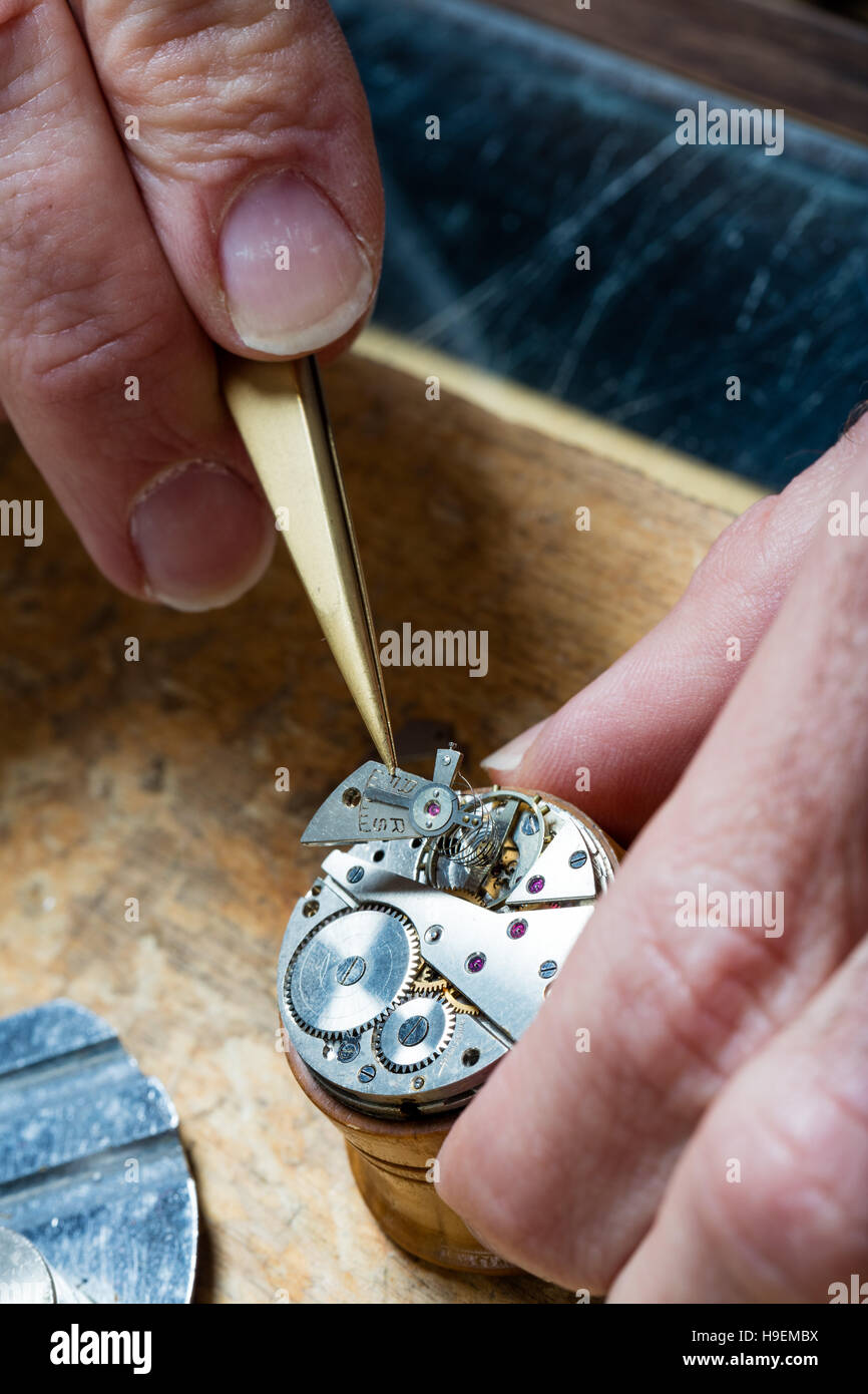 closeup of the hands of a watchmaker placing some clockworks with tweezers and fixing it Stock Photo