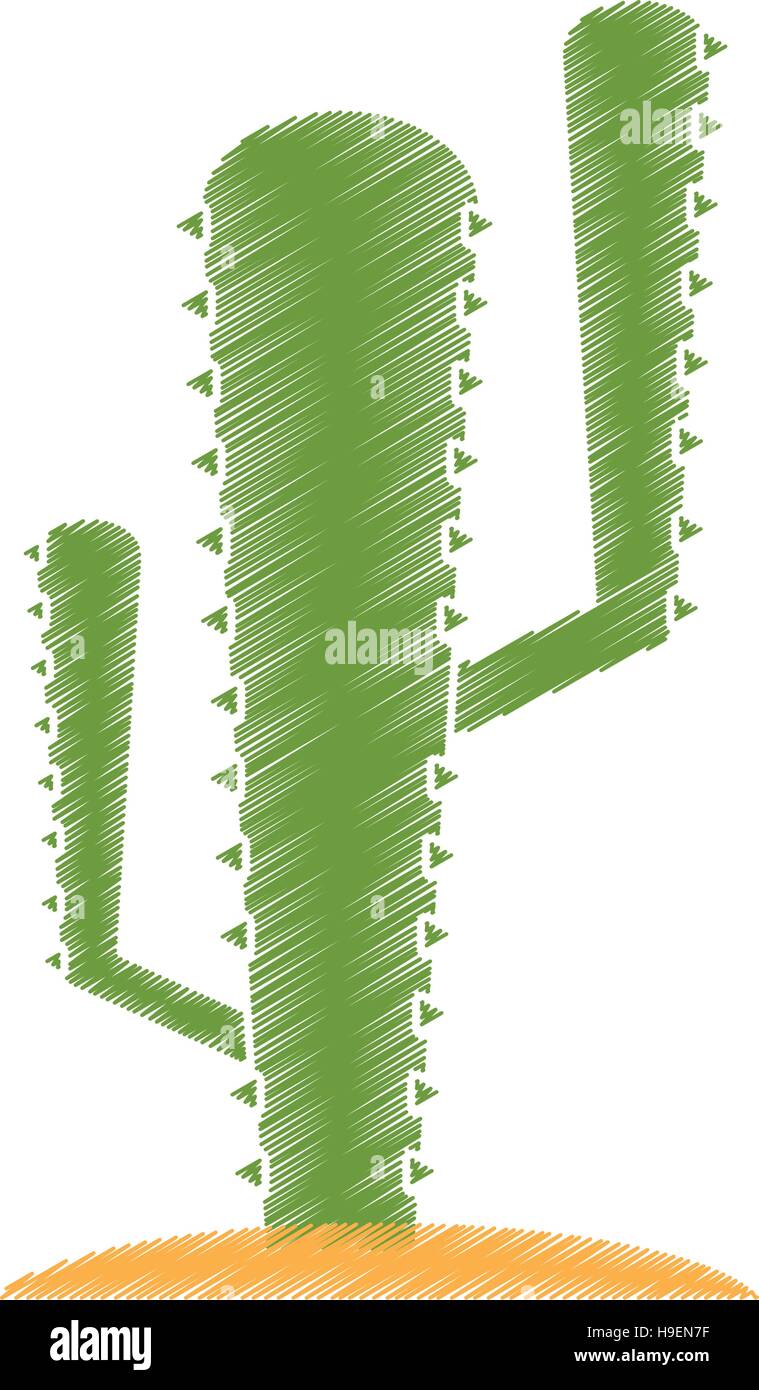 Isolated cactus plant design Stock Vector Image & Art - Alamy