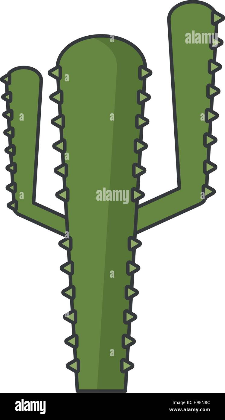 Isolated cactus plant design Stock Vector Image & Art - Alamy