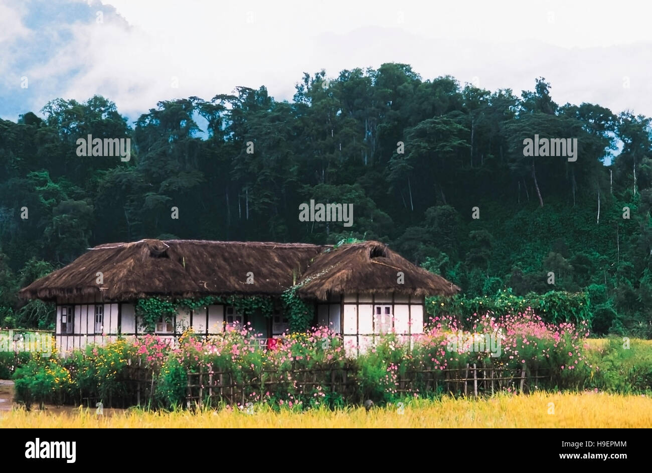 House in Phapharbari, Arunachal Pradesh, India. Stock Photo