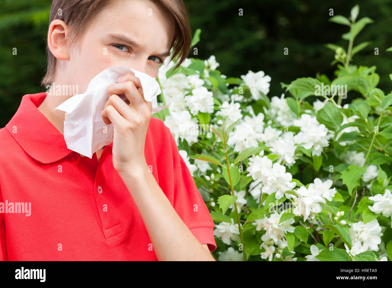 Teenage boy with hay fever blowing his nose allergic to bloom flowers