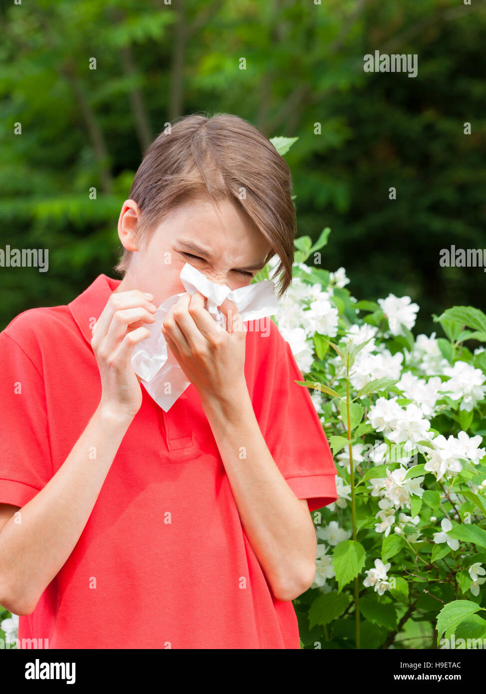 Teenage boy with hay fever blowing his nose allergic to bloom flowers in a spring garden Stock Photo