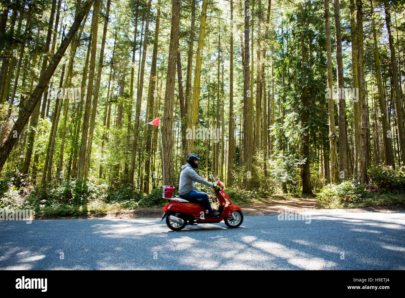 Person riding scooter on road near forest Stock Photo
