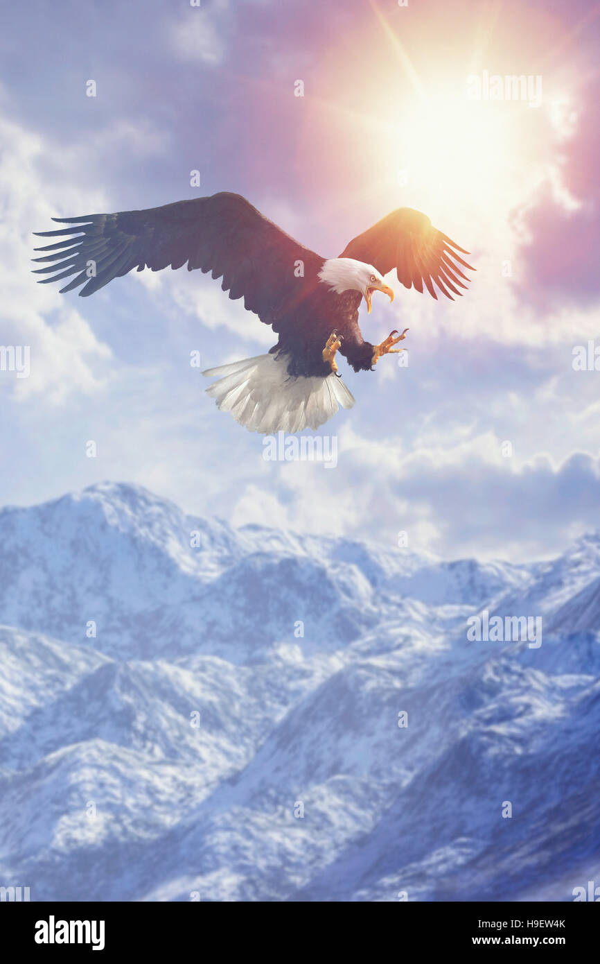 Fierce eagle flying in cloudy sky over mountain range in winter Stock Photo