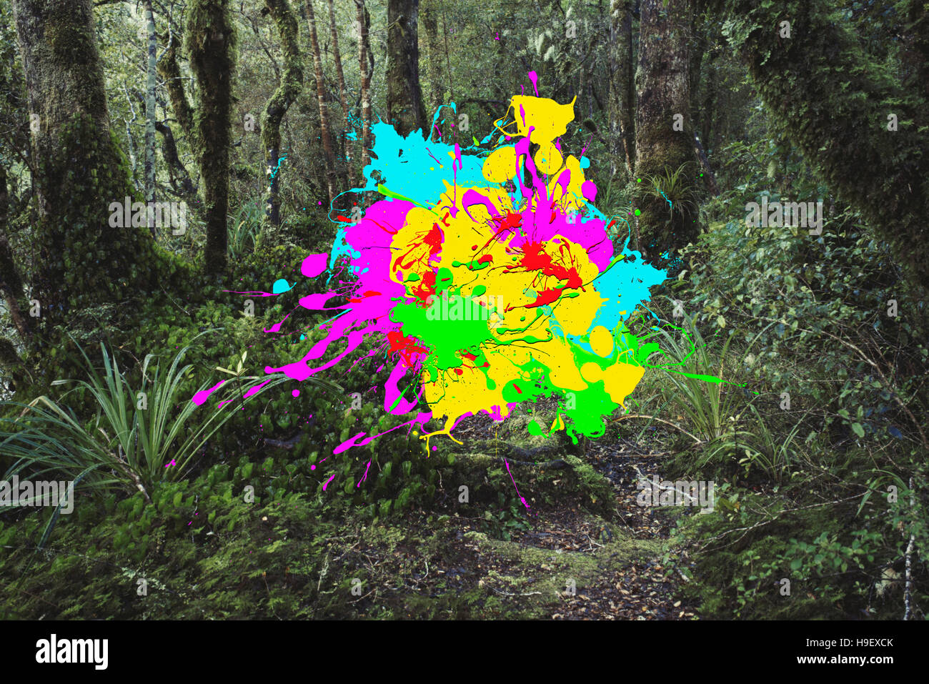 Paint splatter effect in forest Stock Photo Alamy