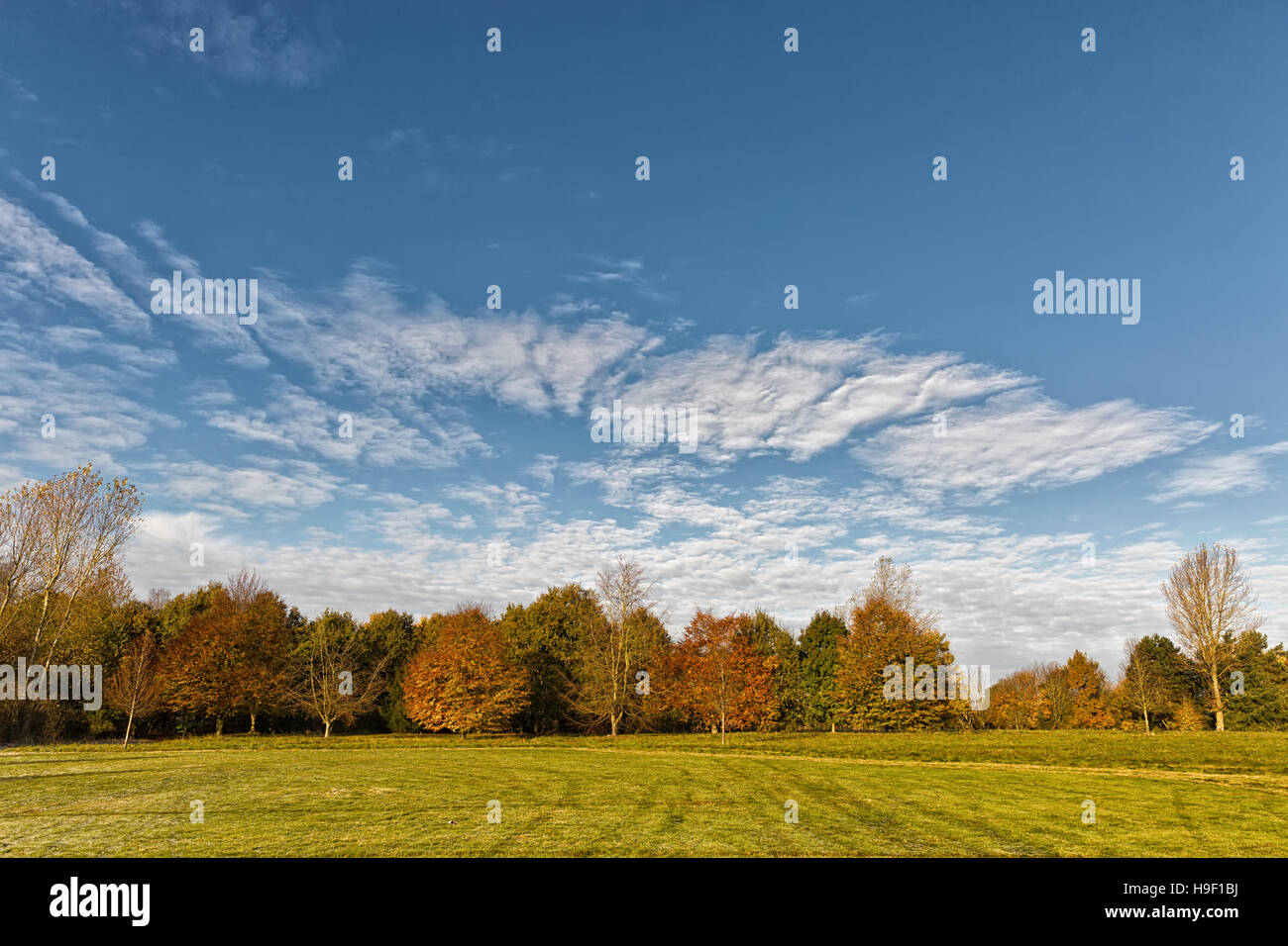 Autumn Landscape with red and orange leaves. Blue clear sky Stock Photo