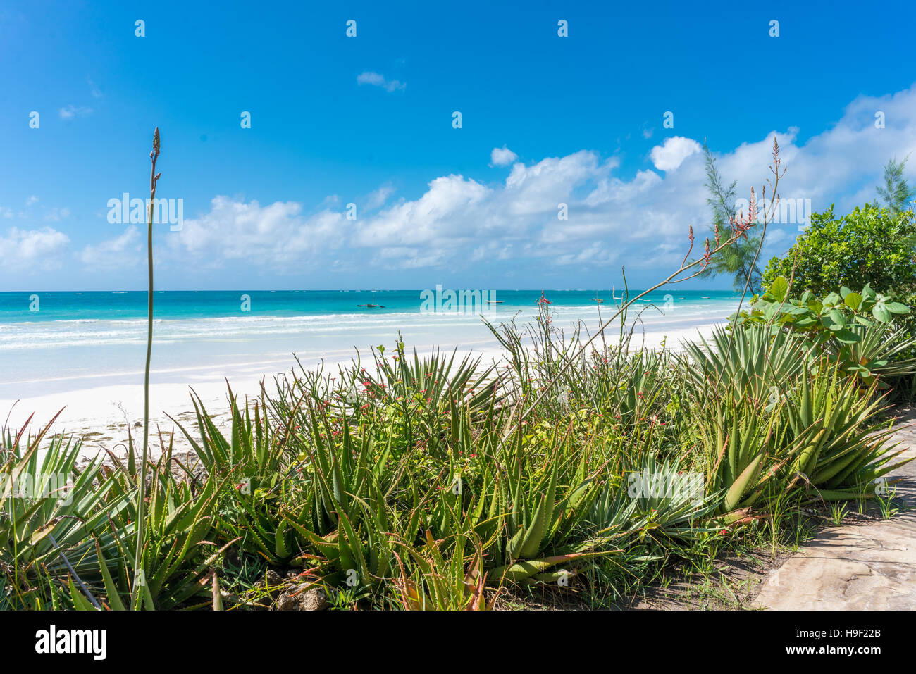 The beautiful Diani Beach along the Shores of the Indian Ocean in Mombasa, Kenya Stock Photo