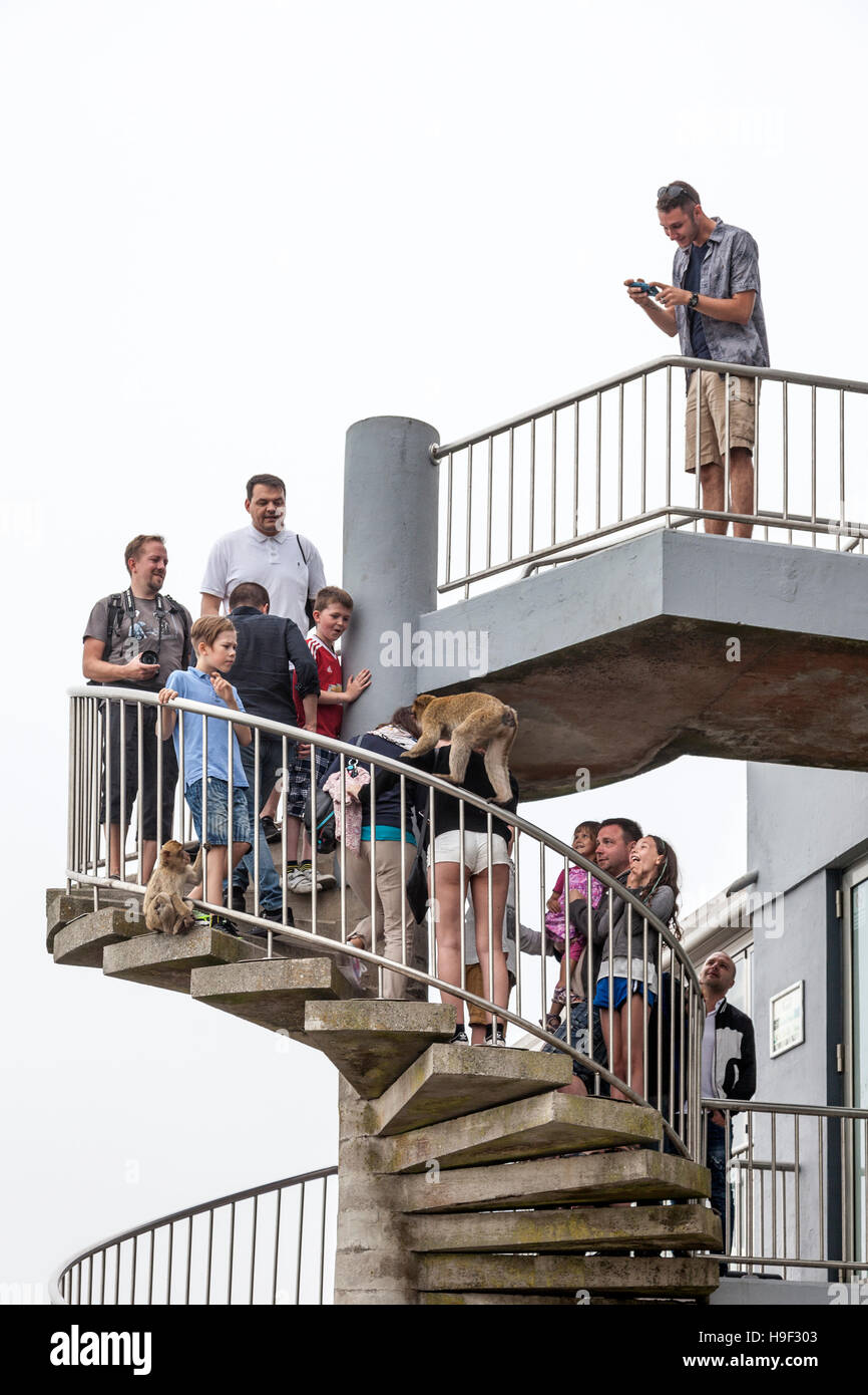 Tourists on the spiral staircase leading to top of the rock taking selfies with monkeys Stock Photo