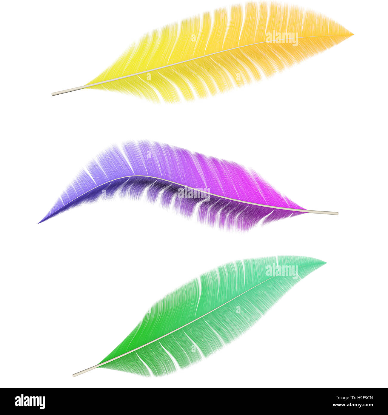 A collection of colored feathers isolated on white background Stock ...