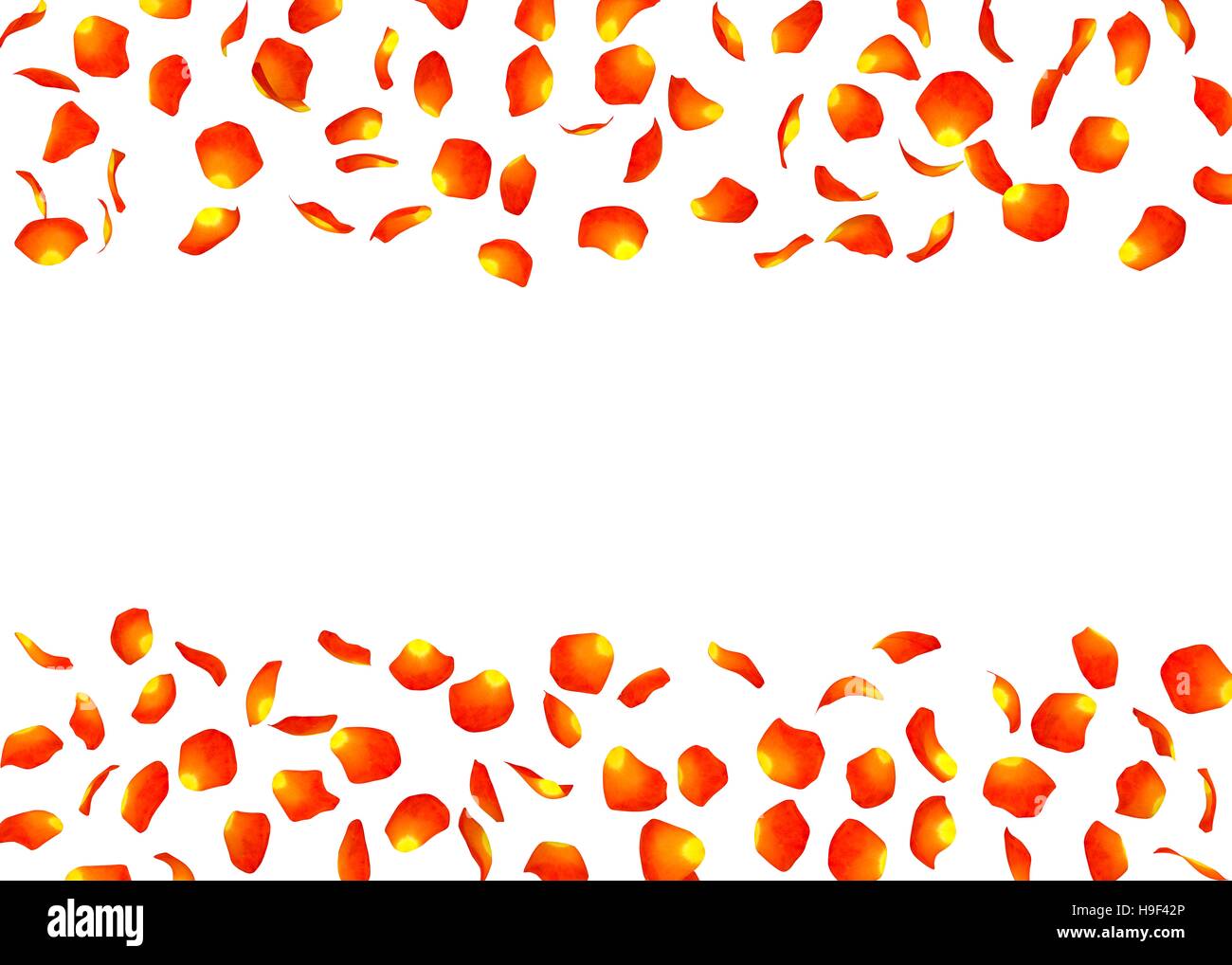 Petals falling from rose hi-res stock photography and images - Alamy