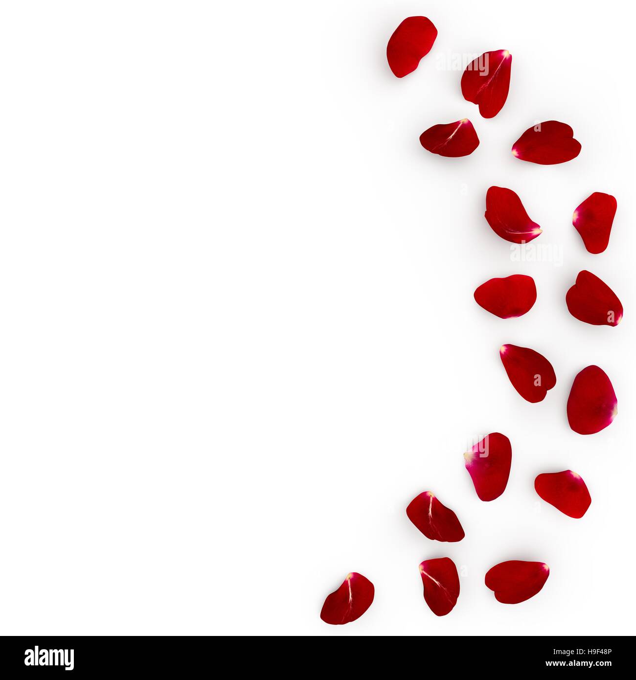 Petals falling flower rose hi-res stock photography and images - Alamy