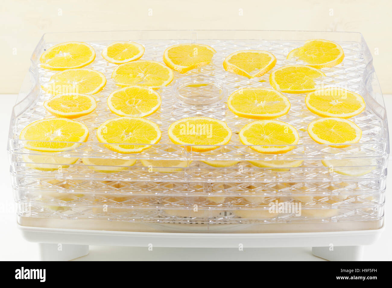 fresh orange slices in a food dehydrator Stock Photo Alamy