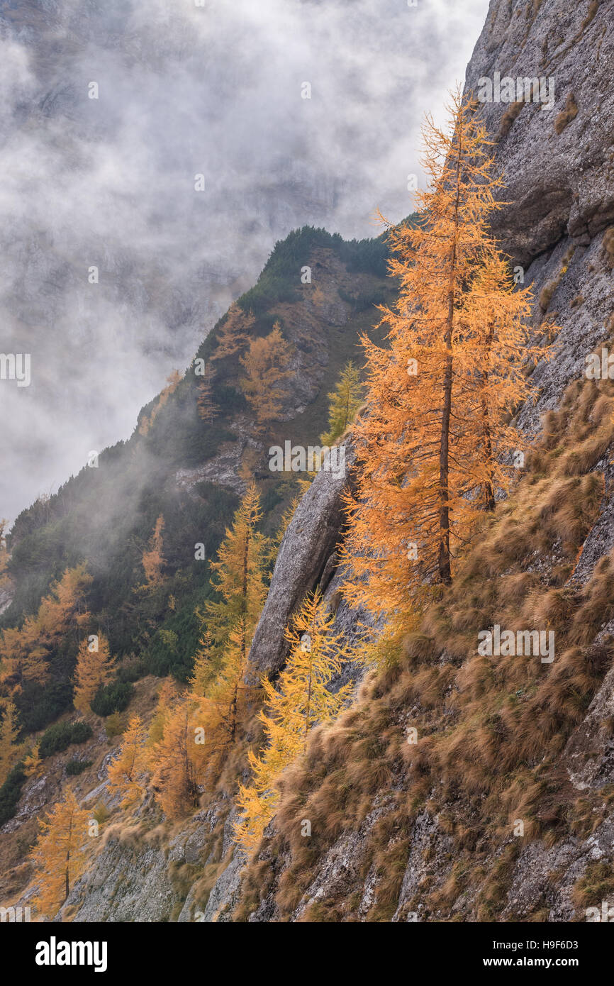 Bucegi Mountains, Romania Stock Photo - Alamy