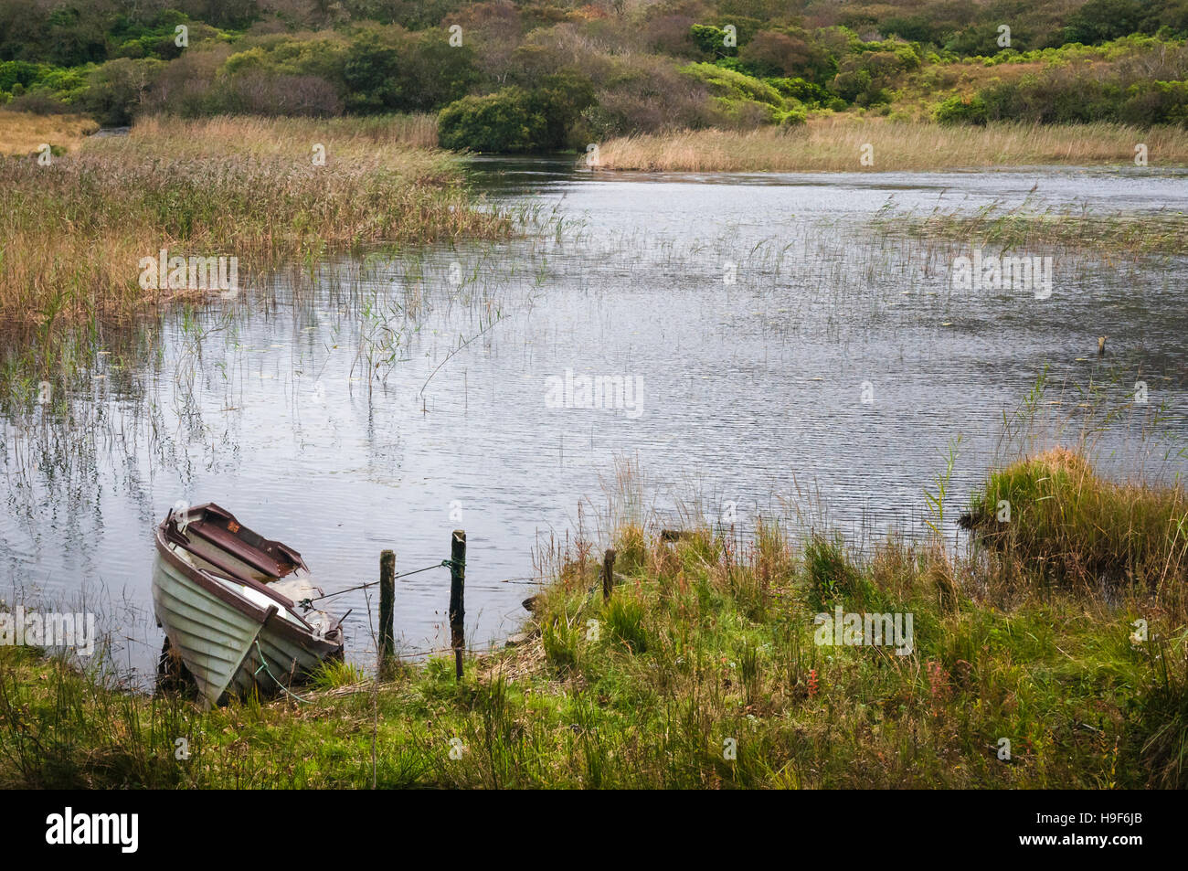 A sinking clinker built rowing boat tied up at the side of Lough Pollacappul, Connemara, Ireland. Stock Photo