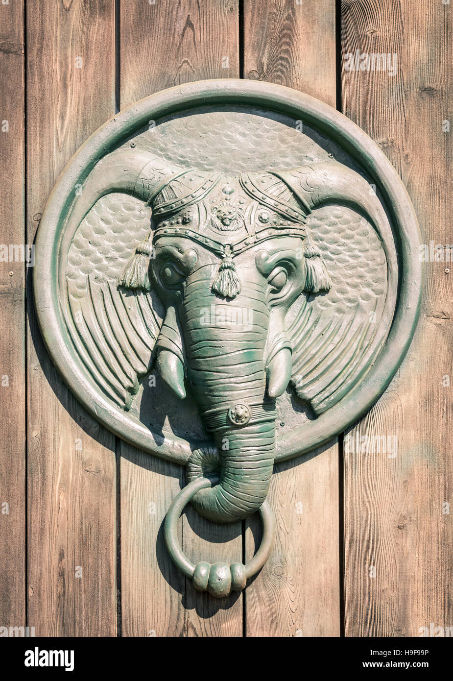 Elephants head hires stock photography and images Alamy