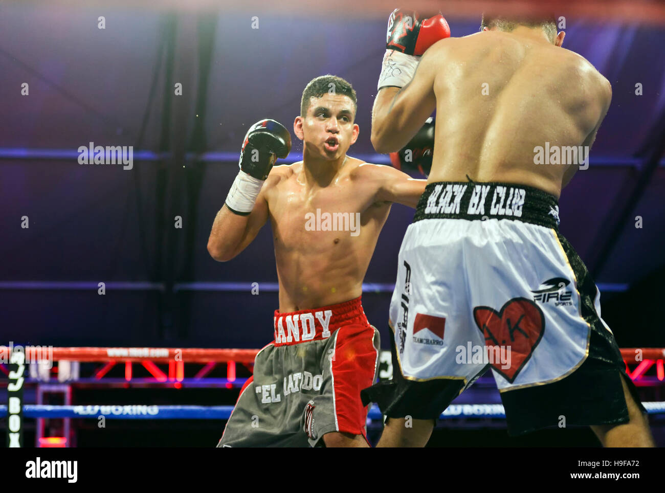 Las Vegas, Nevada November 18, 2016 - Randy 'El Matador' Moreno vs Daniel Perales at the “Knockout Night at the D” Stock Photo