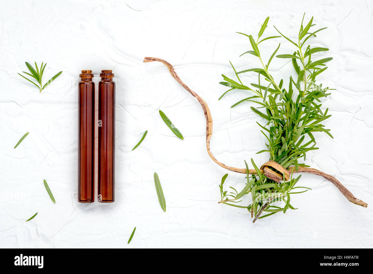 Fresh branch of rosemary  with bottle essential oil setup on whi Stock Photo