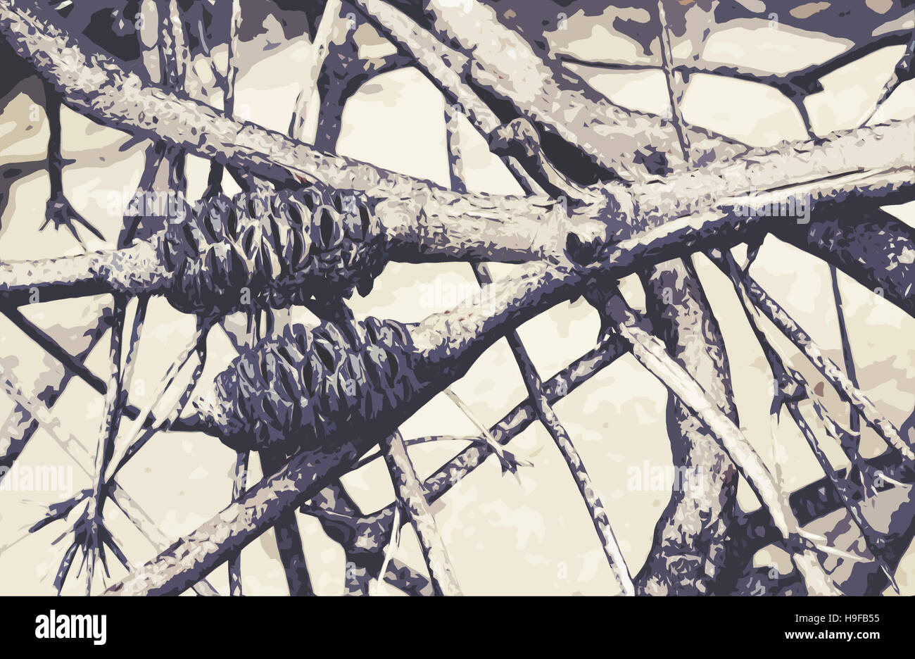 Burnt Australian Banksia tree branches after a bushfire. Digitally filtered. Stock Photo