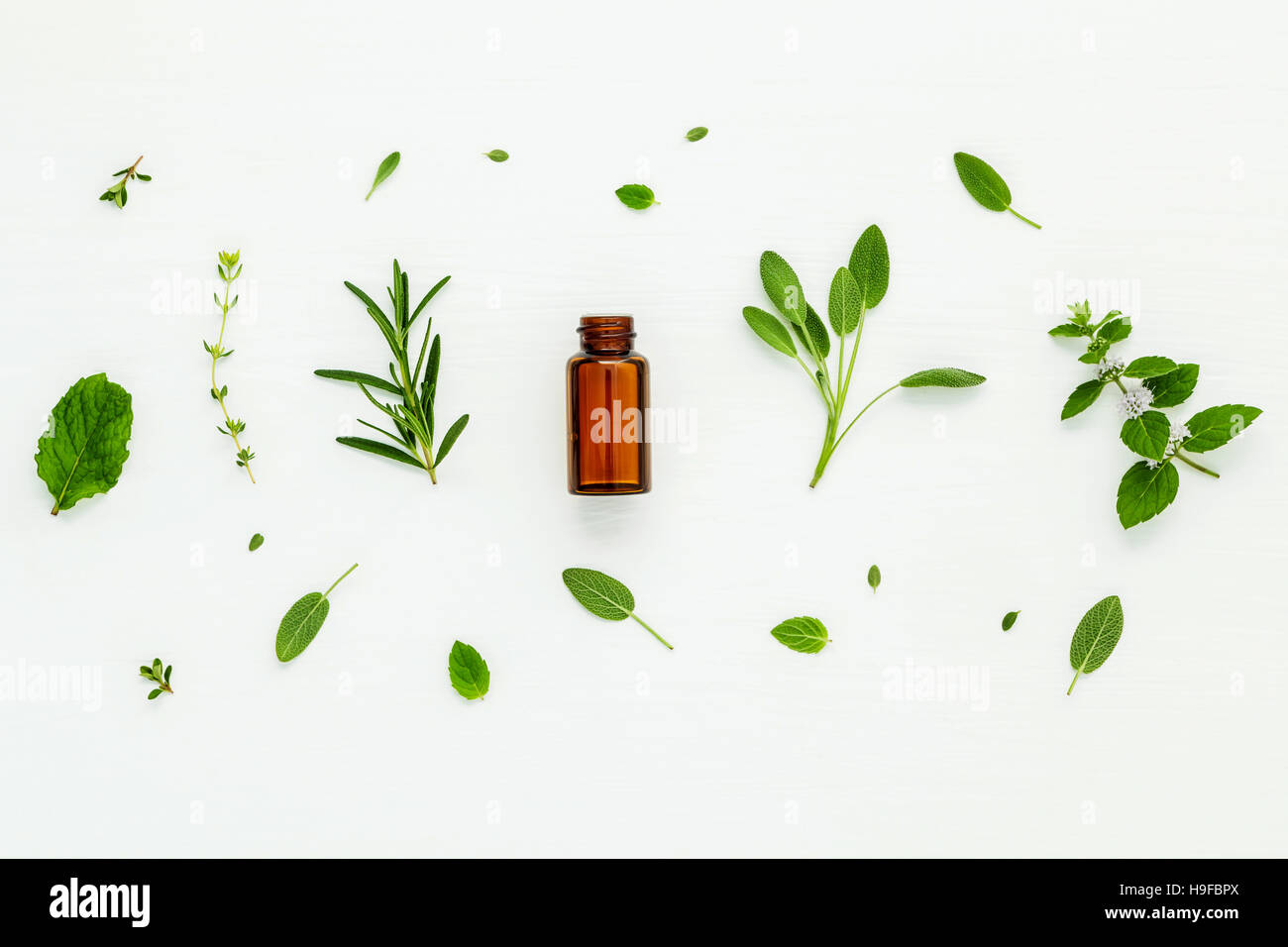 Bottle of essential oil with fresh herbal sage, rosemary, lemon Stock Photo