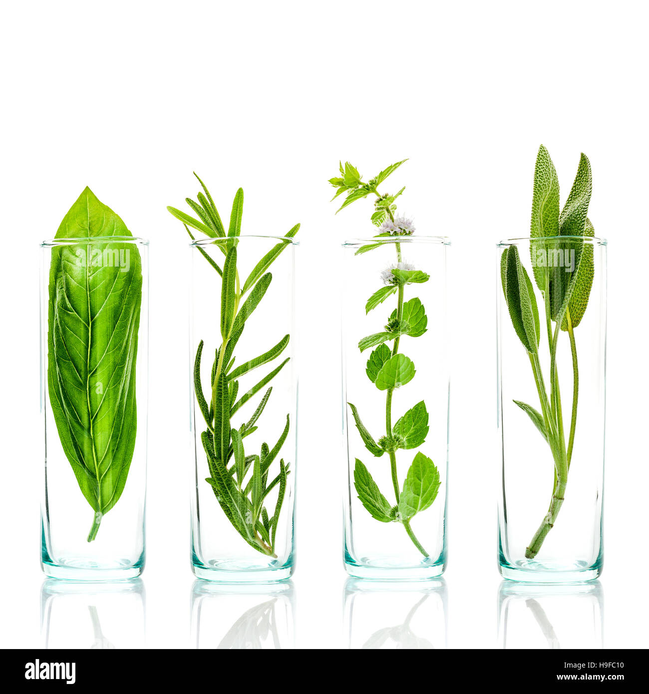 Close Up bottles of essential oils with fresh herbs . Sage, rose Stock Photo