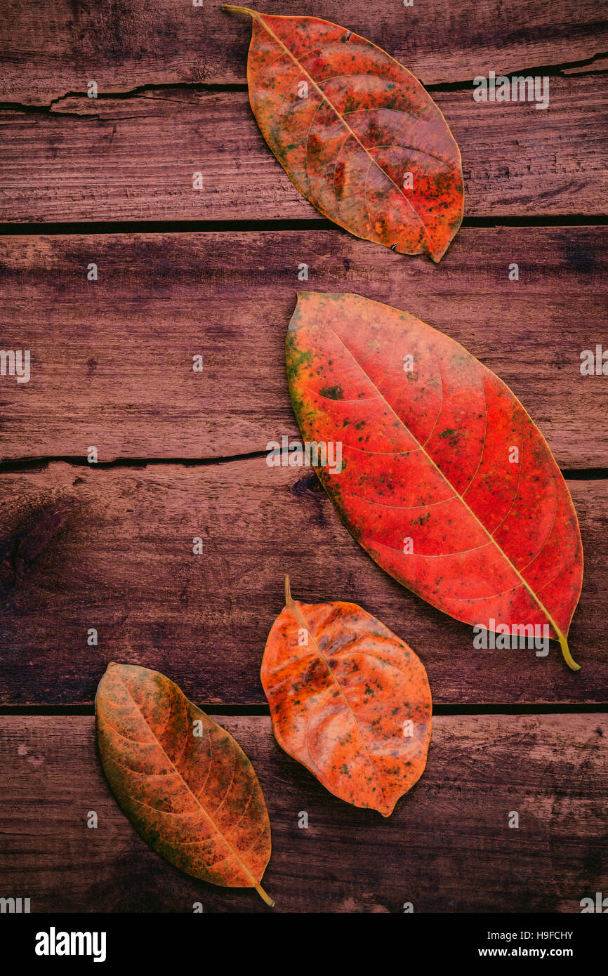 Autumn background with colored leaves falling on grunge wooden Stock ...