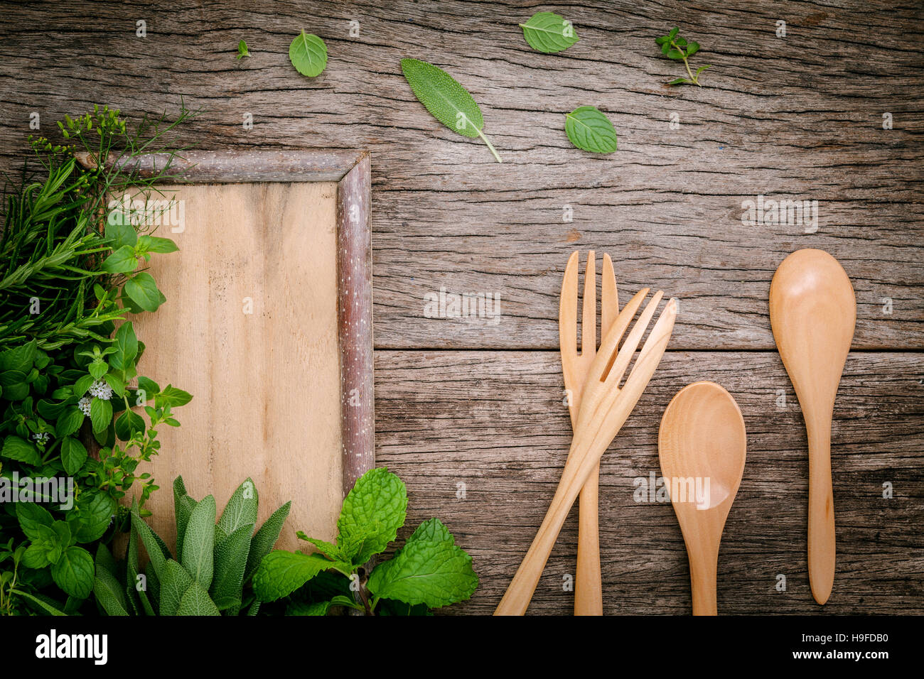 Various aromatic herbs and spices from garden green mint ,fenne Stock