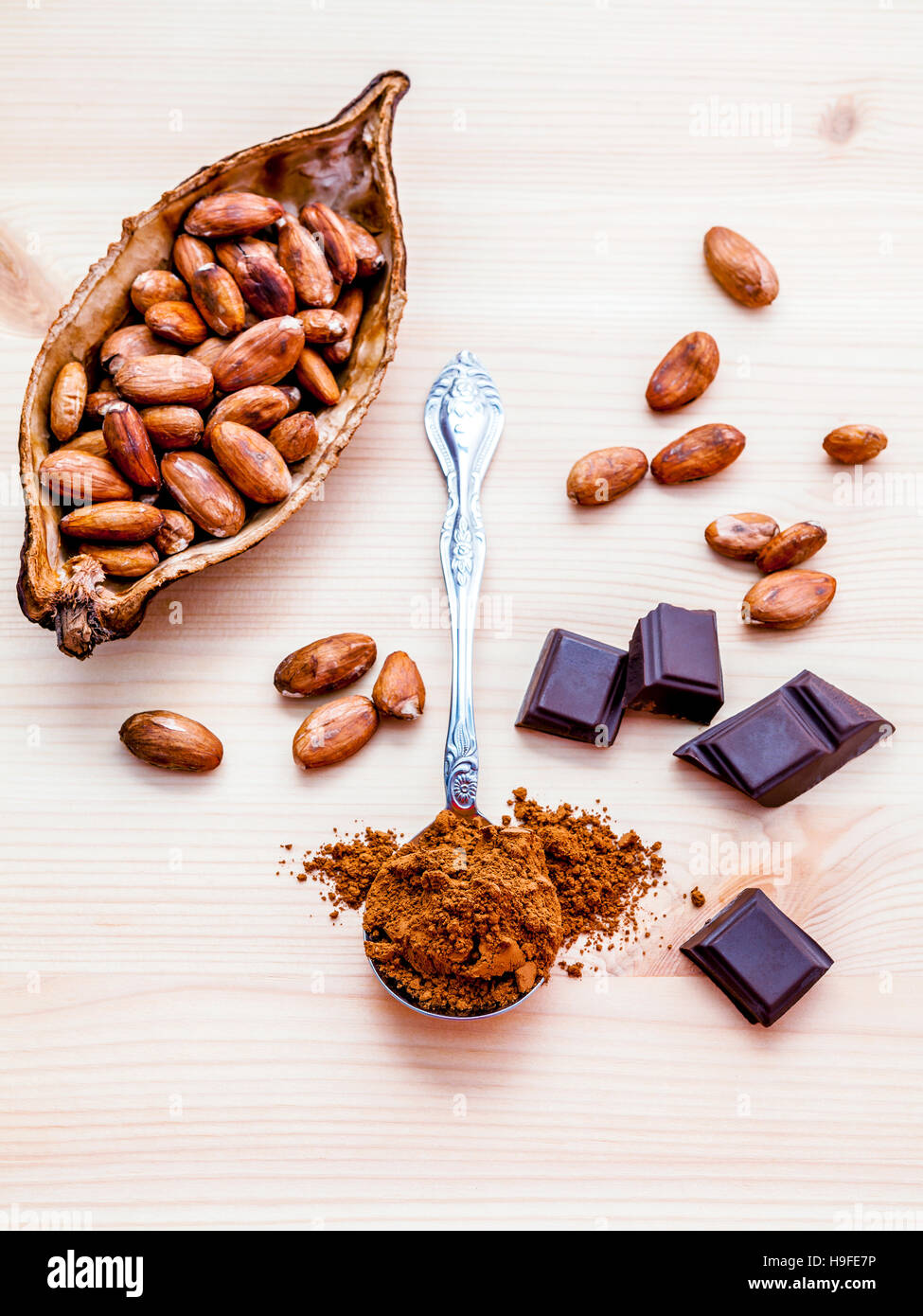 Brown chocolate powder in spoon , Roasted cocoa beans and dark c Stock Photo