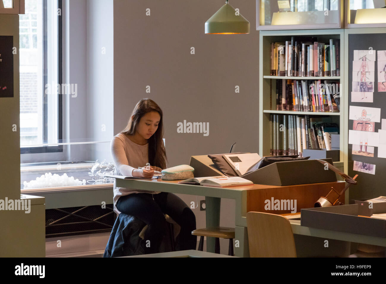 A Female Student Studying In The Wellcome Library London Stock Photo   A Female Student Studying In The Wellcome Library London H9FEP9 