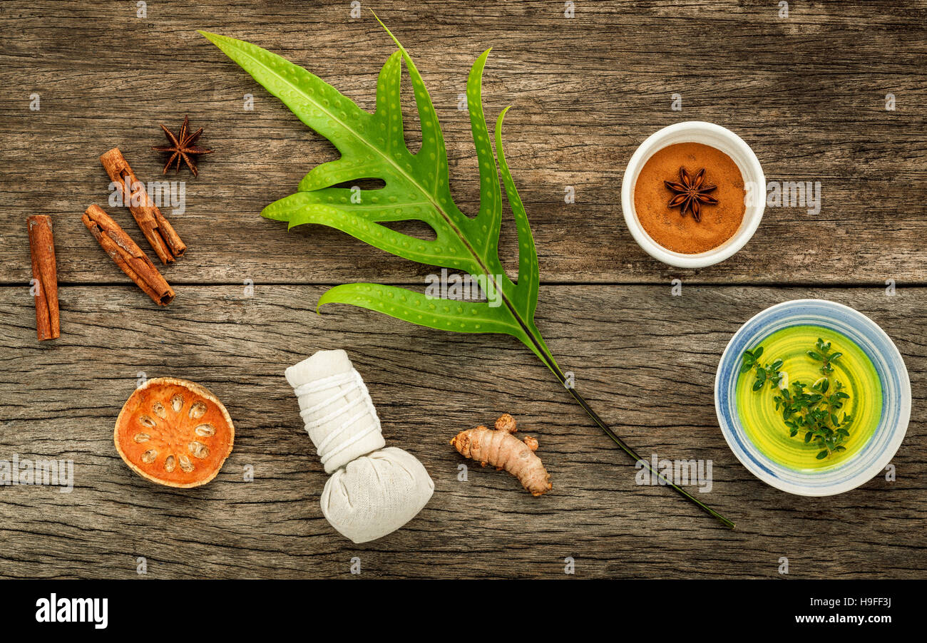 Branch of fern leaves with nature spa ingredients dried indian b Stock Photo