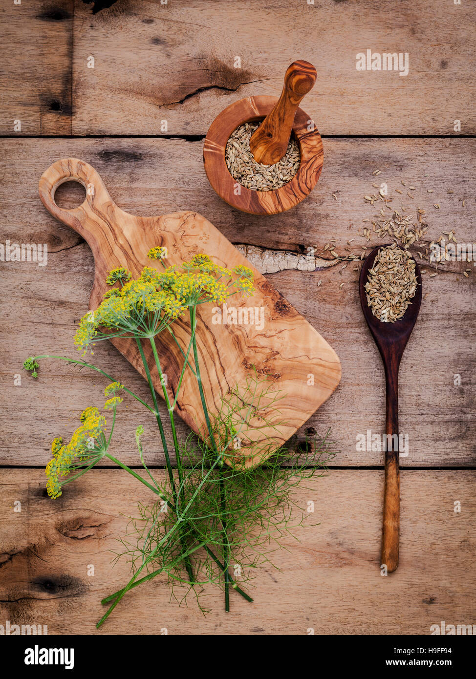 Close up blossoming branch of fennel and dried fennel seeds on r Stock Photo