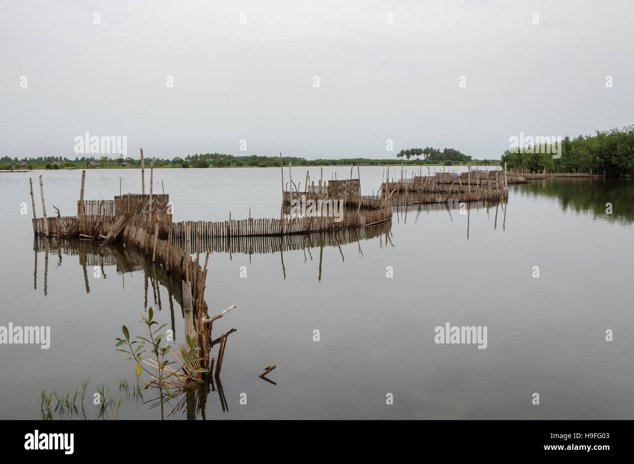 Traditional reed fishing traps used in wetlands near the coast in