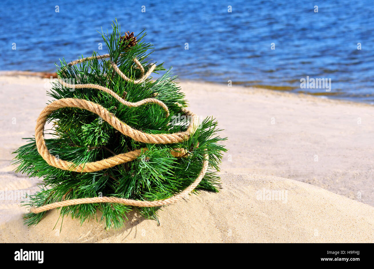 Christmas tree on beach against blue ocean Stock Photo Alamy