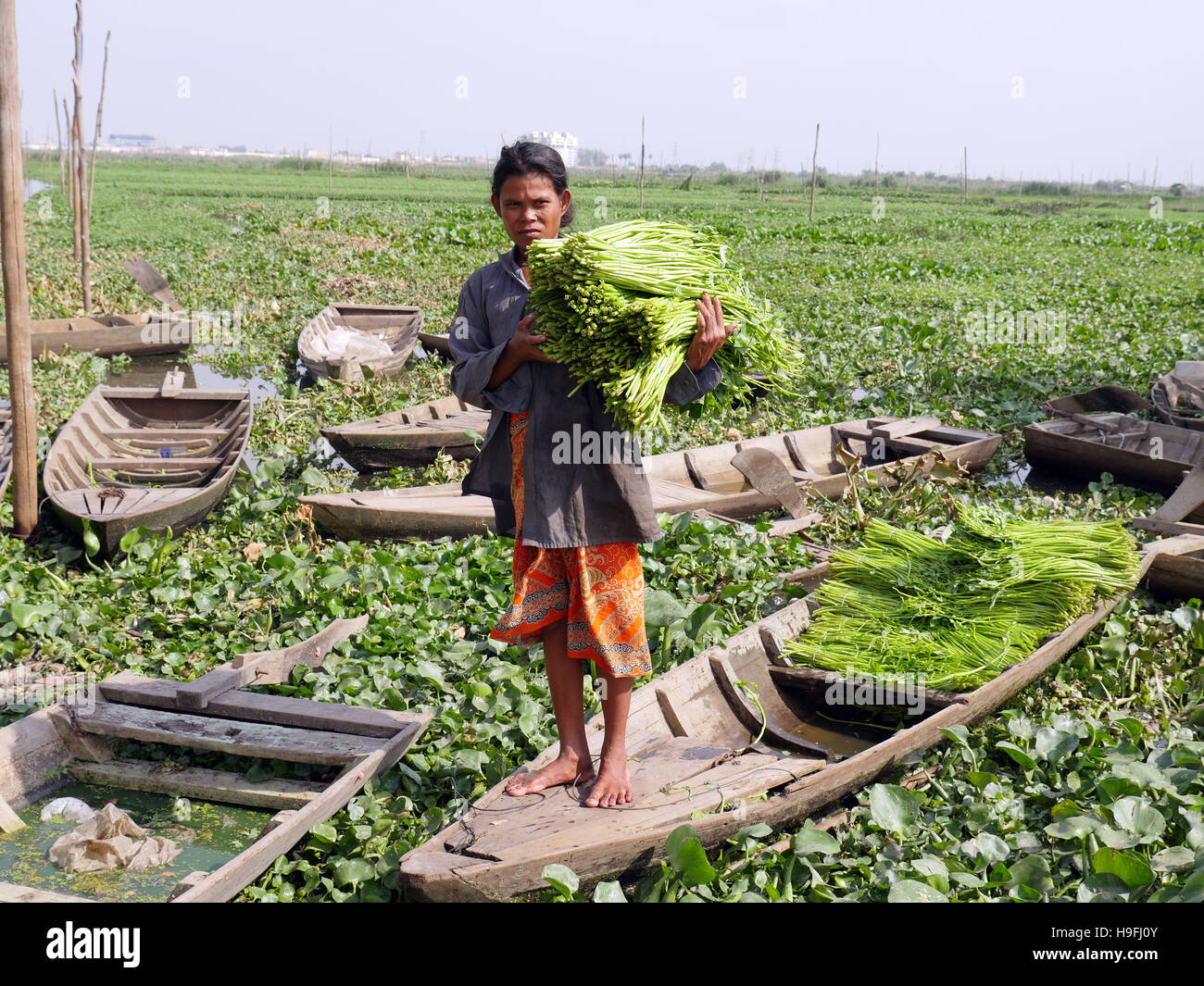 Cambodia phnom penh slum area hi-res stock photography and images - Alamy