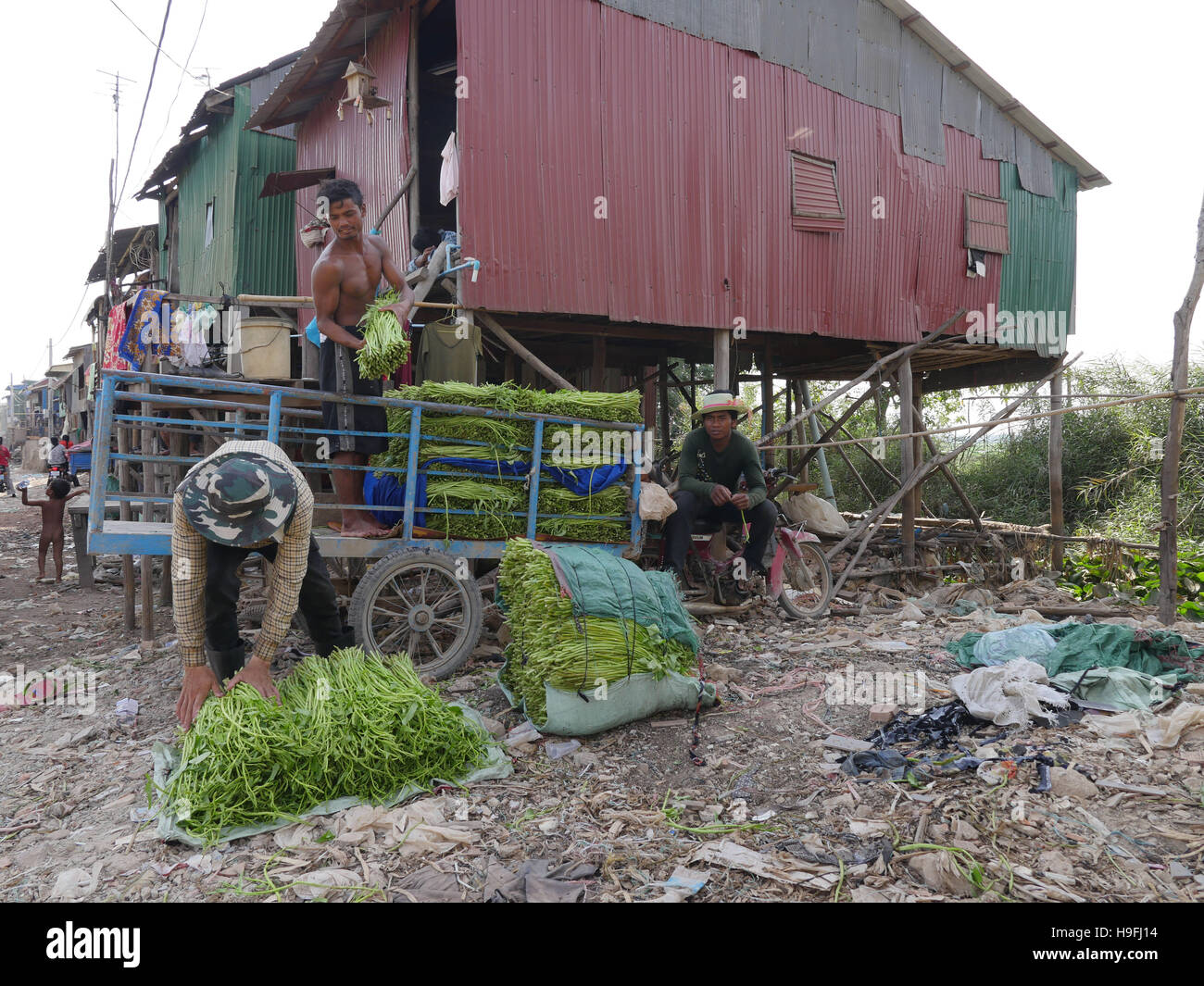 Cambodia phnom penh slum area hi-res stock photography and images - Alamy