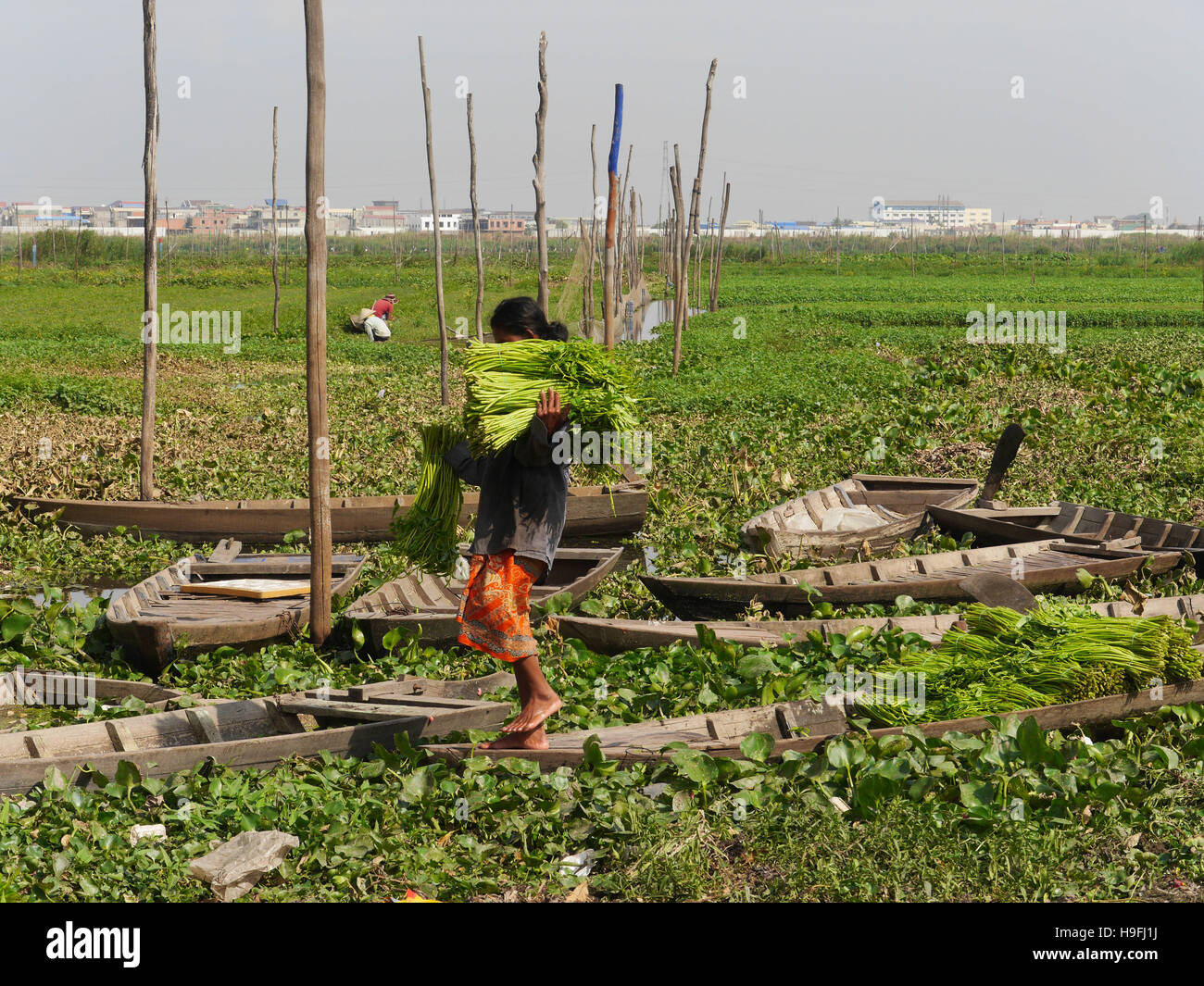 Cambodia phnom penh slum area hi-res stock photography and images - Alamy