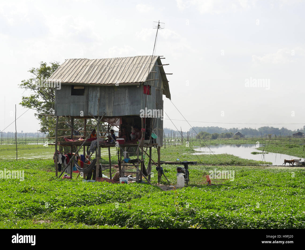 Cambodia phnom penh slum area hi-res stock photography and images - Alamy