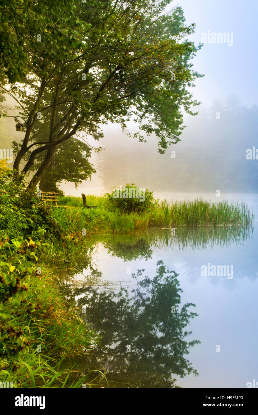 Peaceful sunrise scenic lake landscape at Chenango Valley State Park in