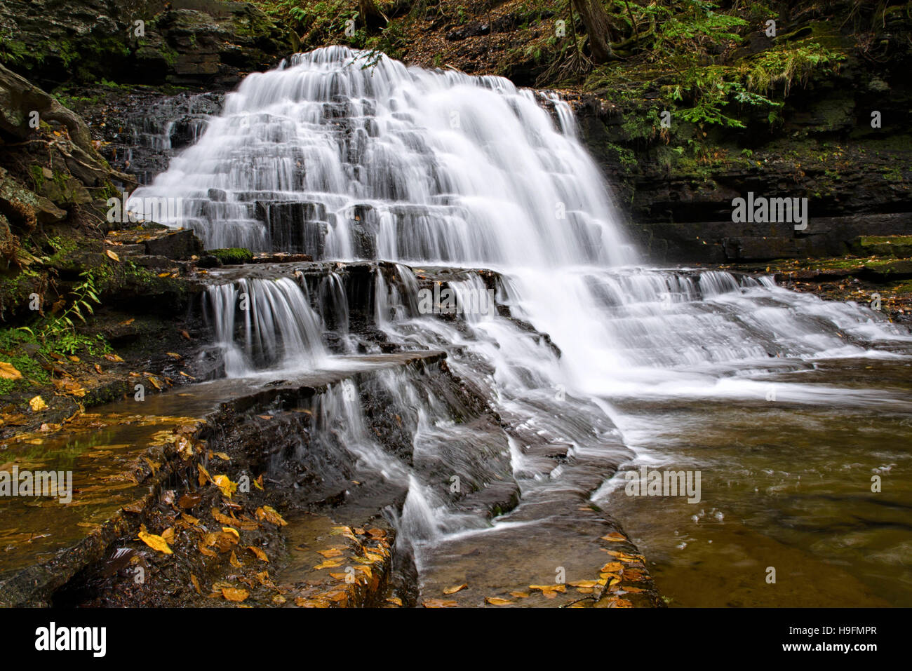 Waterfall at Salt Springs State Park in Montrose Pennsylvania