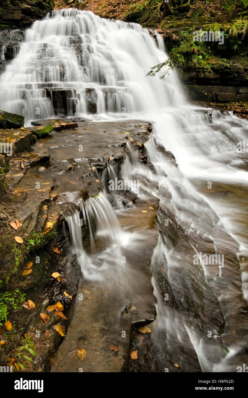 Pennsylvania waterfall landscape Salt Springs State Park Susquehanna