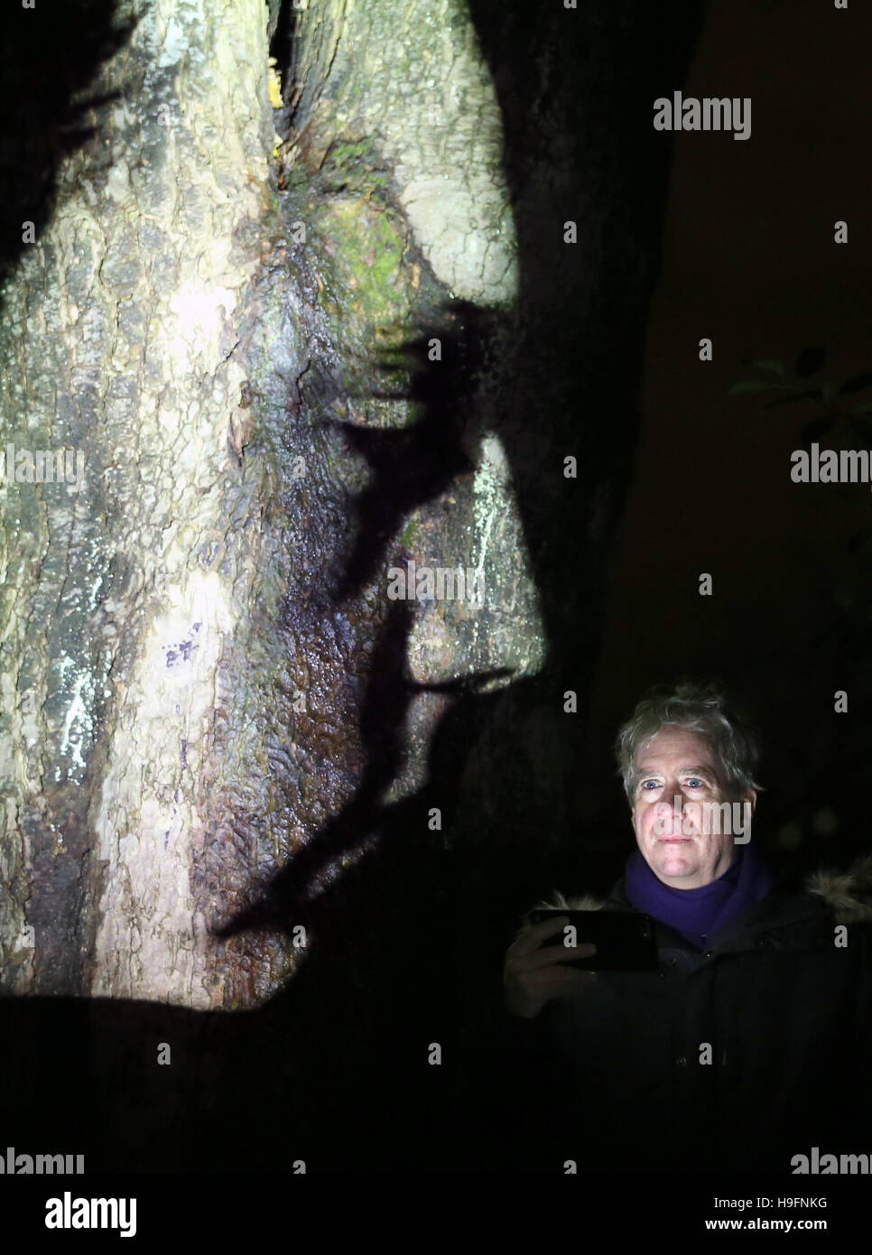 Light and mist transform Edinburgh's George Square Gardens with shadowy figures projected on to trees to form part of 'The Influence Machine', an immersive outdoor sculptural experience by American artist Tony Oursler (pictured). Stock Photo