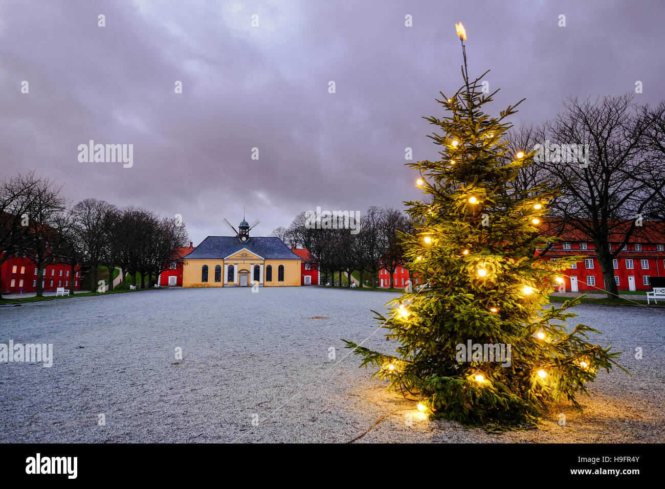 Christmas tree dark sky holiday happy light lights spirit family happy snow white kastellet fort military Stock Photo