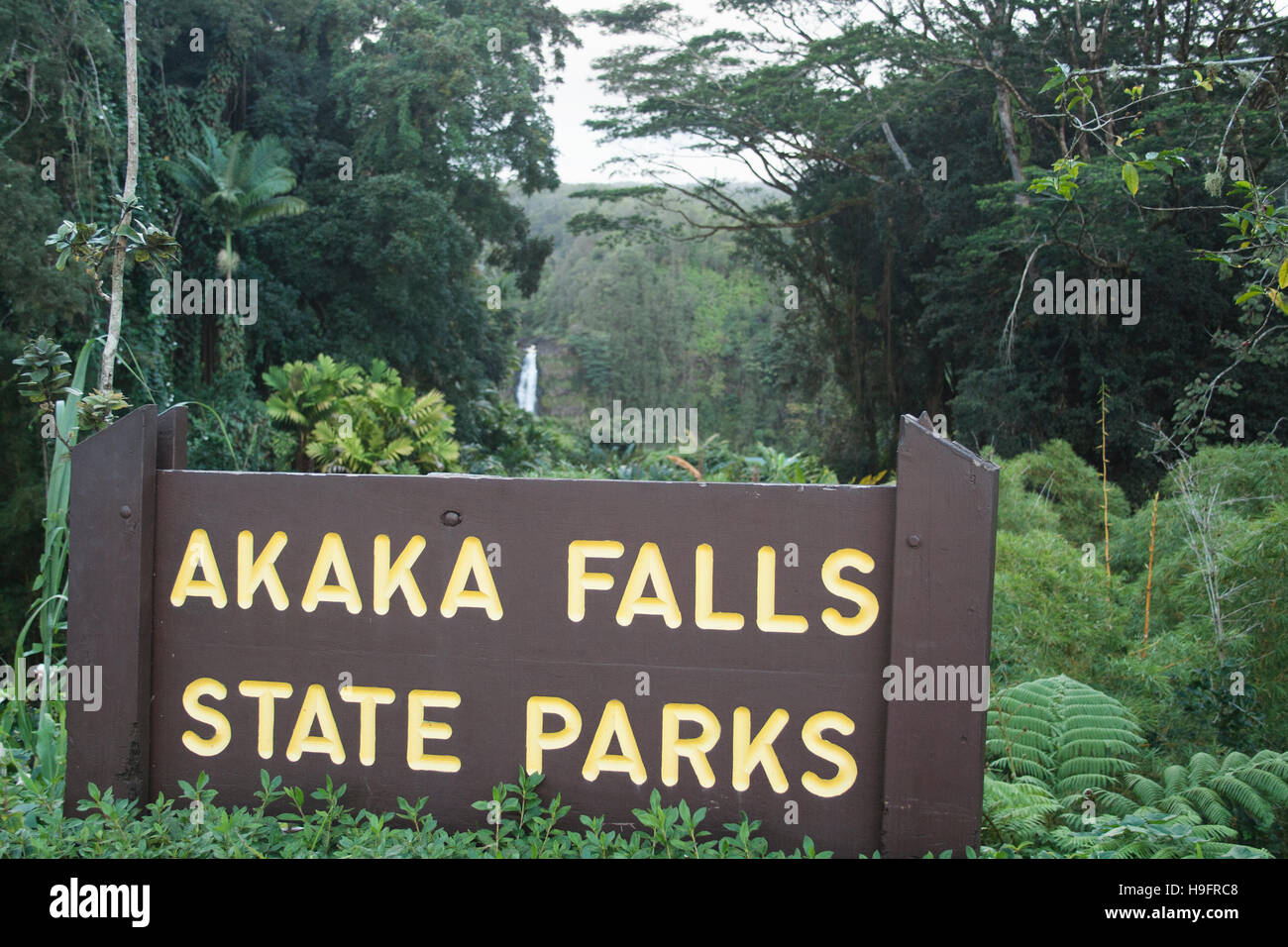 akaka falls state park Stock Photo