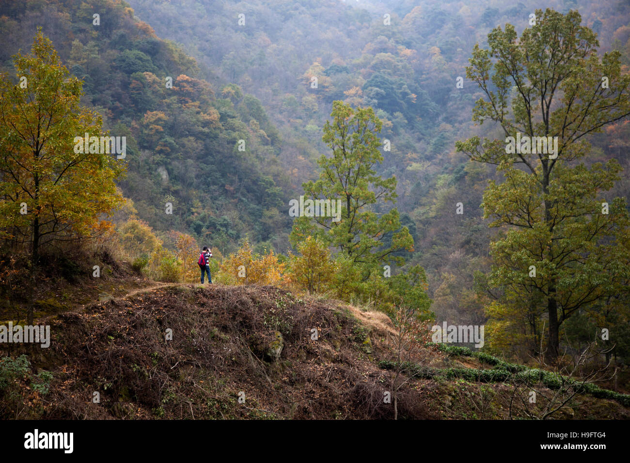 A traveller takes pictures of the landscape in autumn colours at Bai Shui Jiang nature reserve in Sichuan in China. Stock Photo