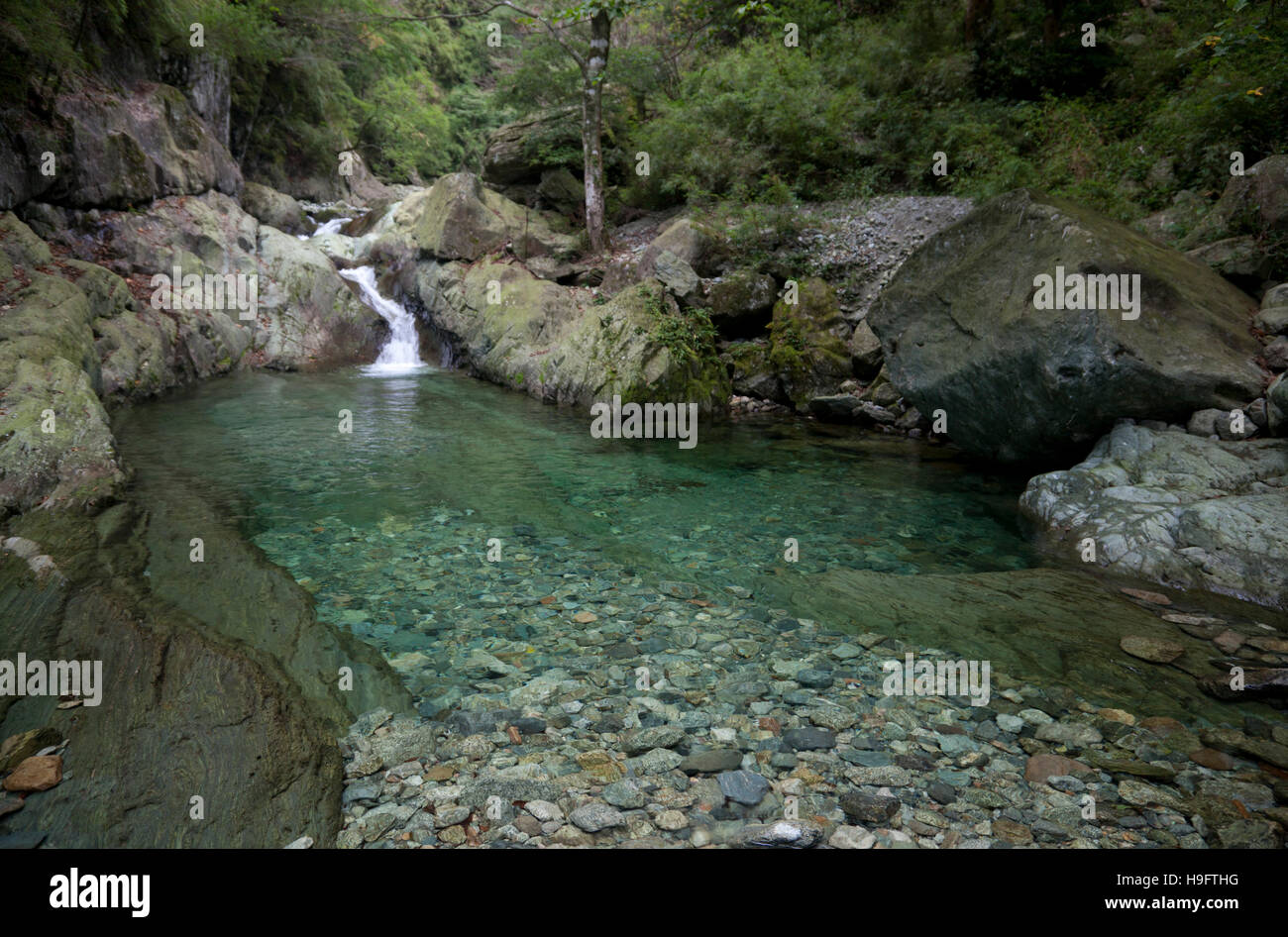 A natural pool formed in a river at Bai Shui Jiang, a nature reserve in Gansu province in west China. Stock Photo