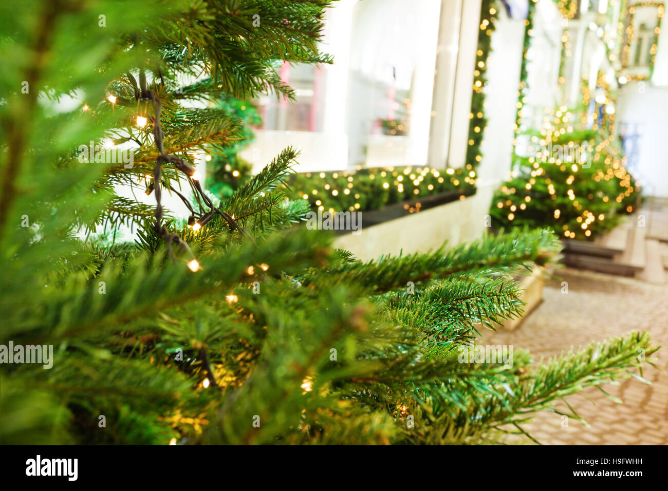 Street decorated with garlands and Christmas trees Stock Photo - Alamy